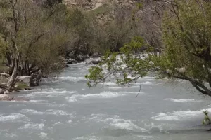 آب تهران سالم است یا نه